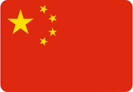 Language Flag